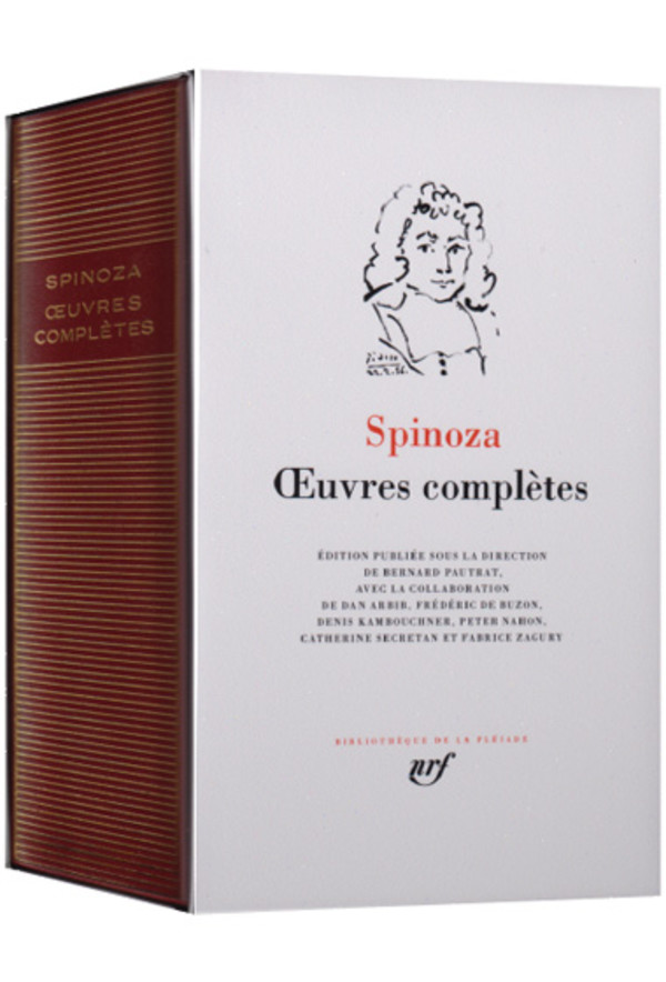 Phénoménologie de la transcendance