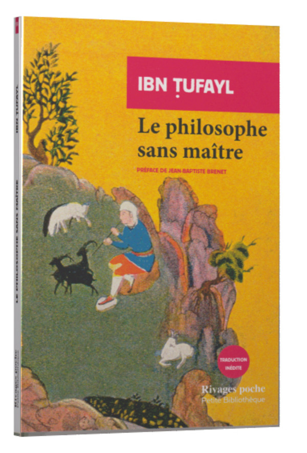 Philosophie du probléme