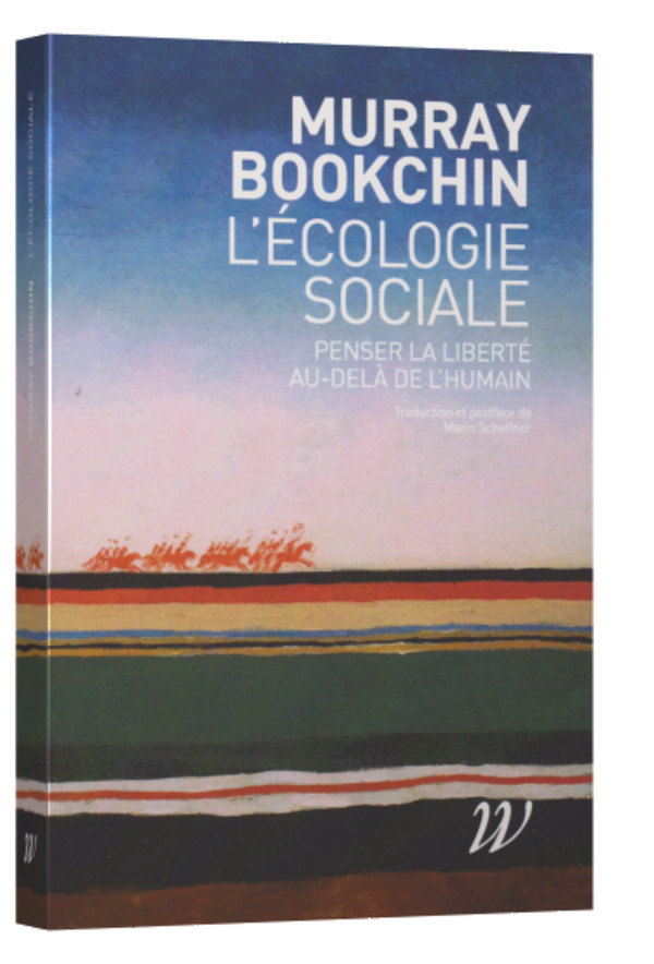 L’analyse finie et l’analyse infinie