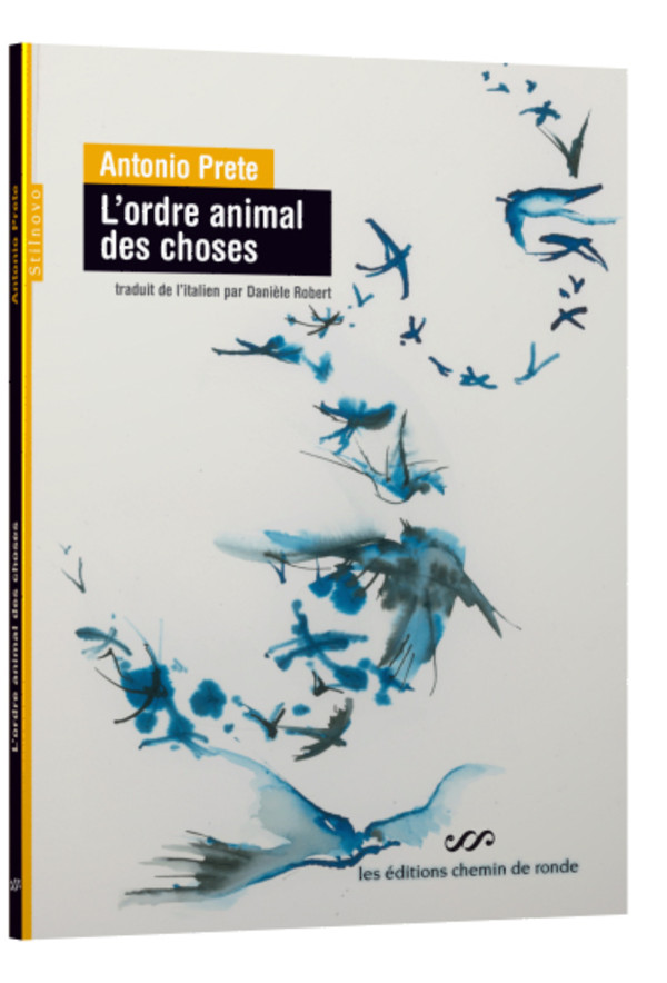 Grammaire Livre XVII