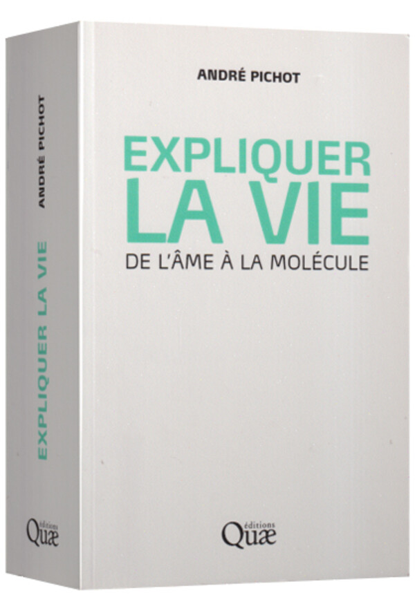 Il n’y a pas d’identité culturelle