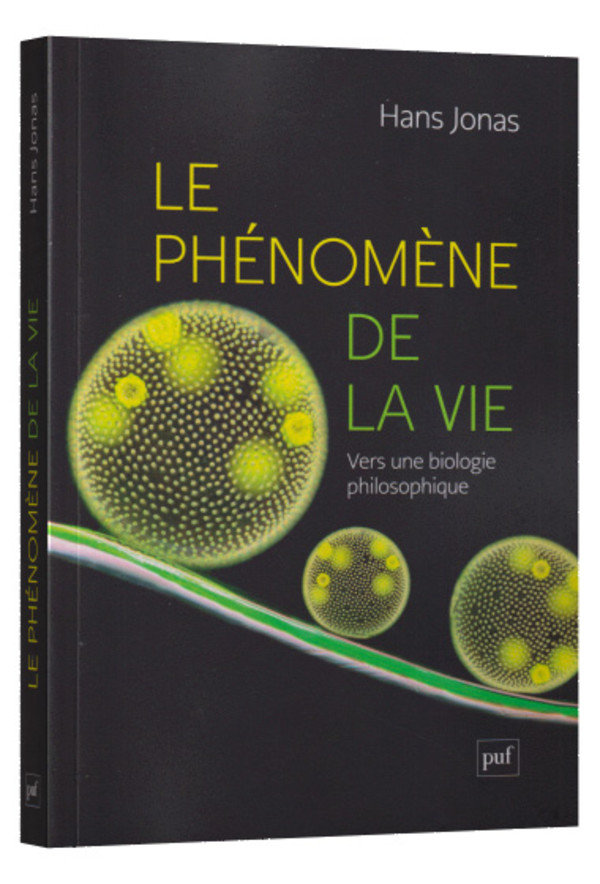 Le phénomène de la vie
