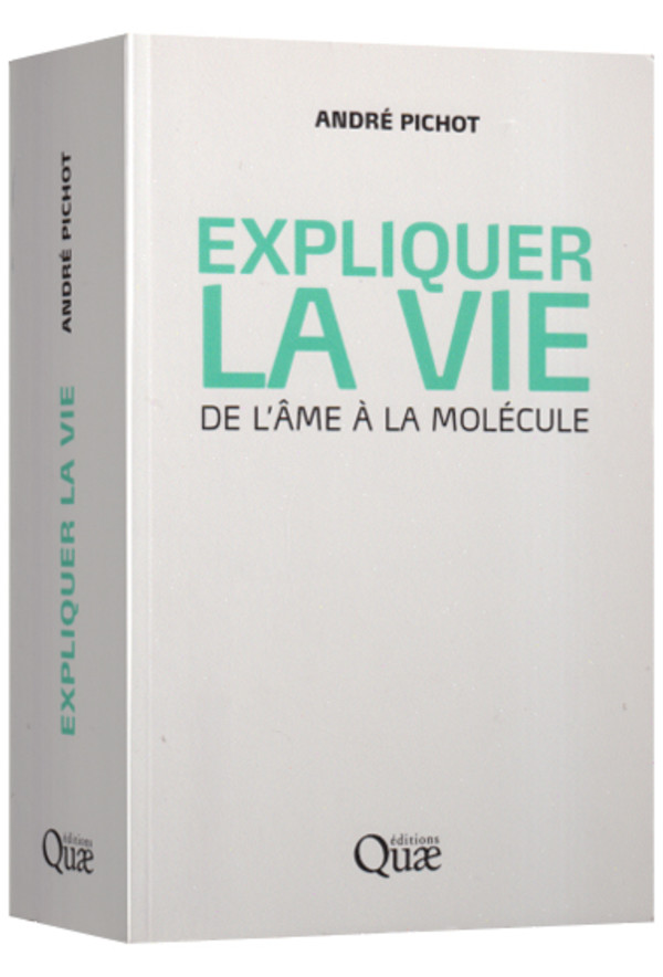 Il n’y a pas d’identité culturelle