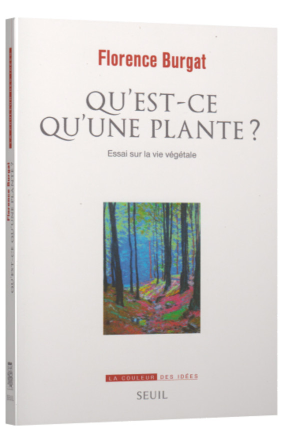 Qu’est ce qu’une plante?