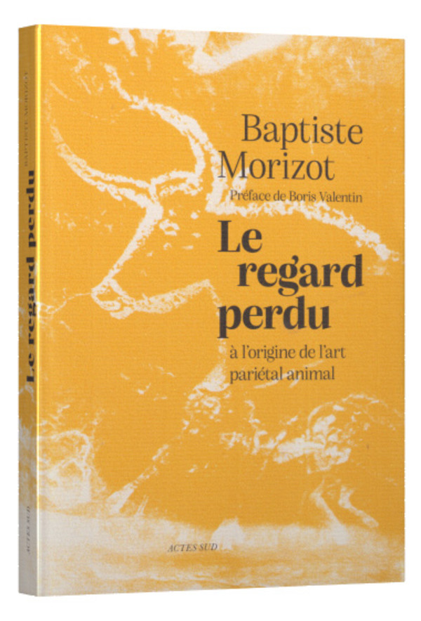 Le regard perdu