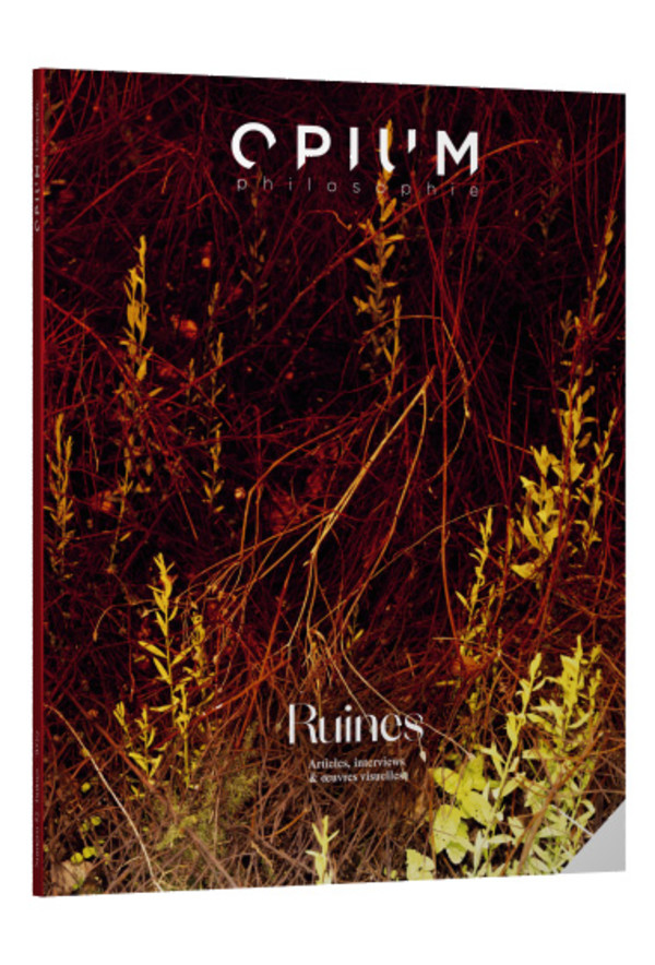 La philosophie de Wittgenstein