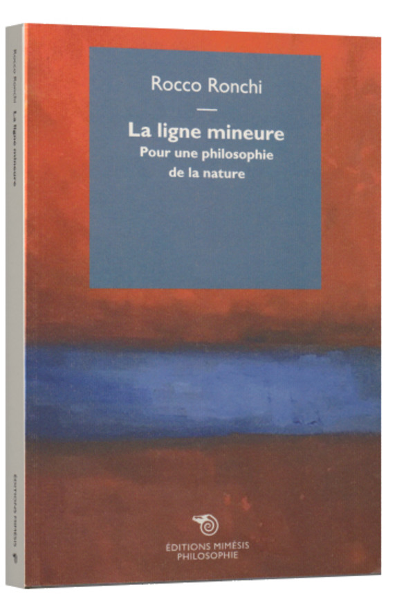 Phénoménalisation et transcendance.