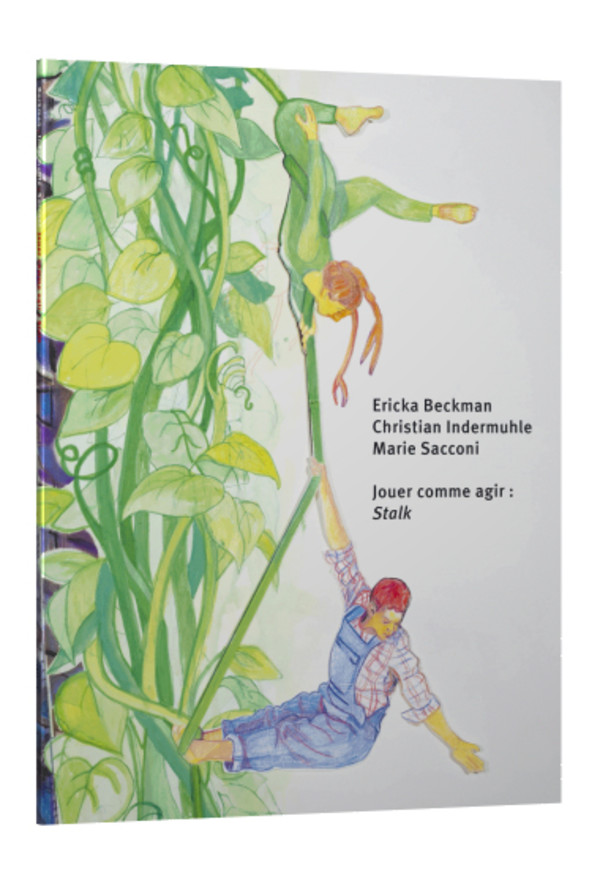 Le Phénomène et son ombre