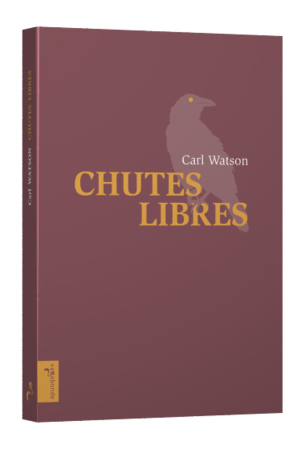 Chutes libres