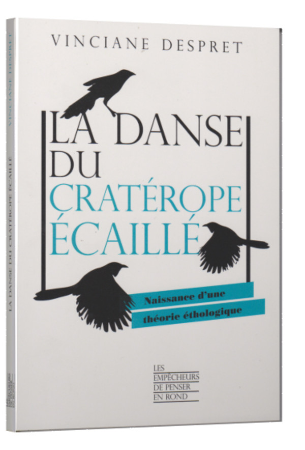La danse du cratérope écaillé