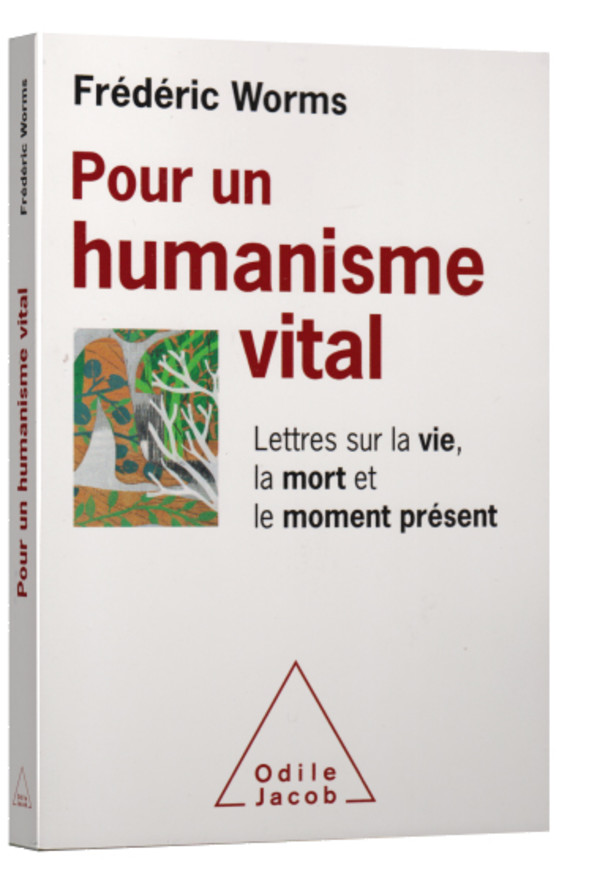 Curriculum
