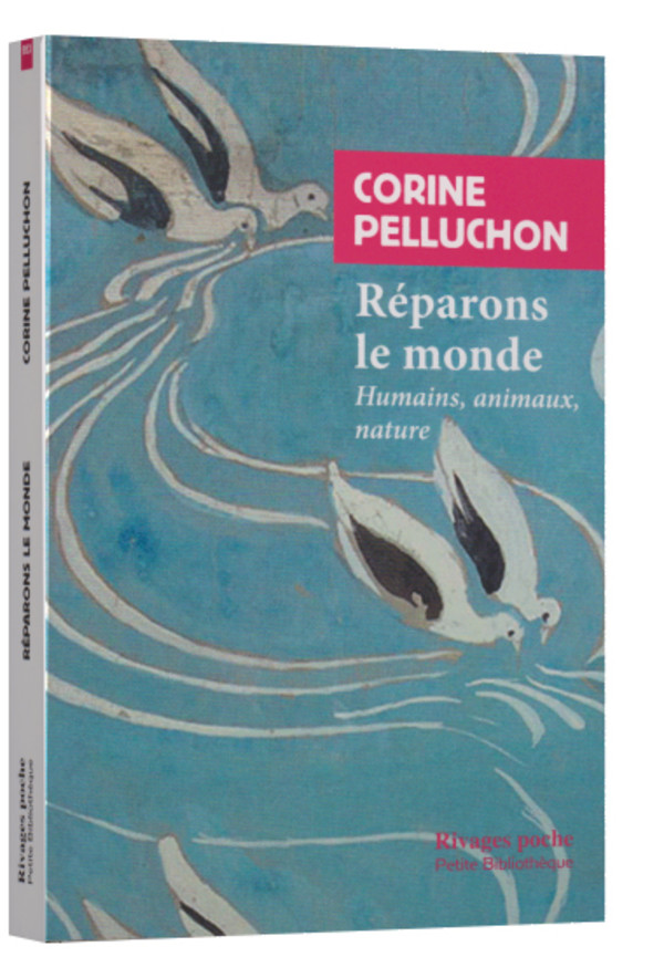 Ce que sait la foi