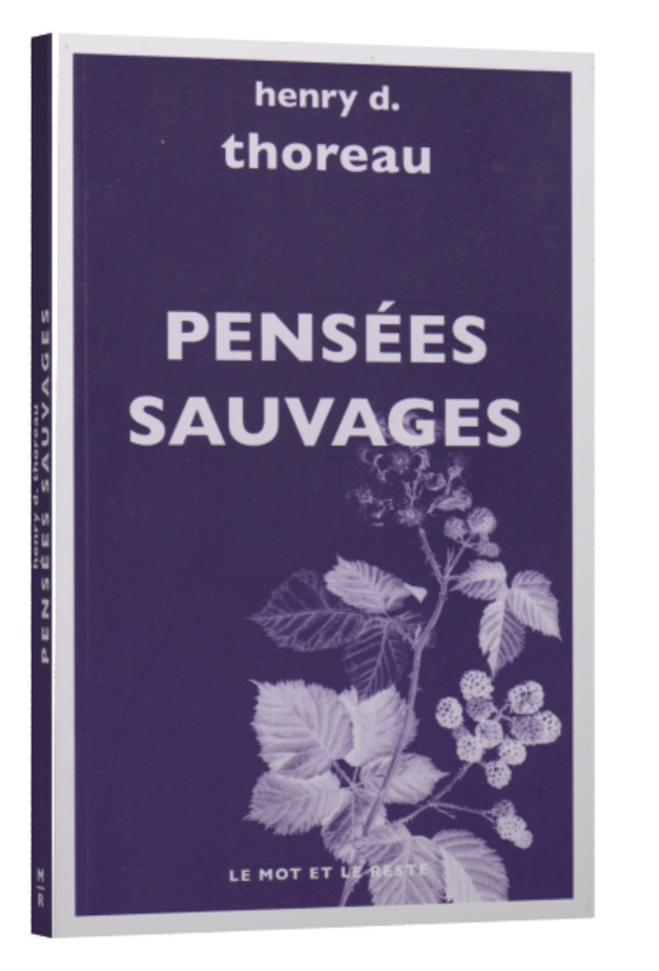 Les pouvoirs du sacré.