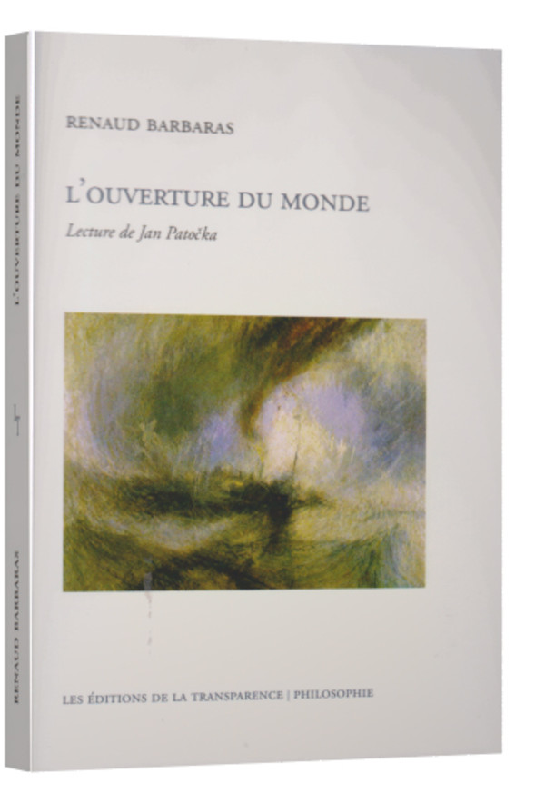 La perception Essai sur le sensible