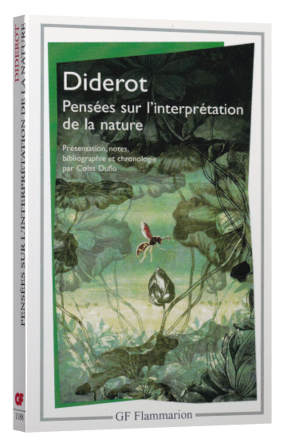 Pensées sur l’interprétation de la nature
